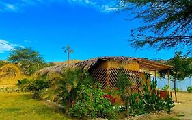 Ecolodge Cactos - Tu Oasis Natural En El Norte De Peru